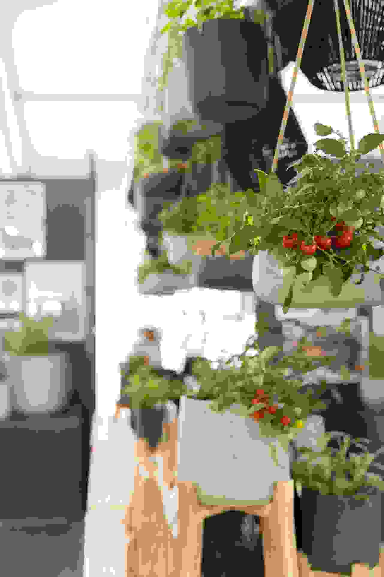 oga_2024_65.jpg