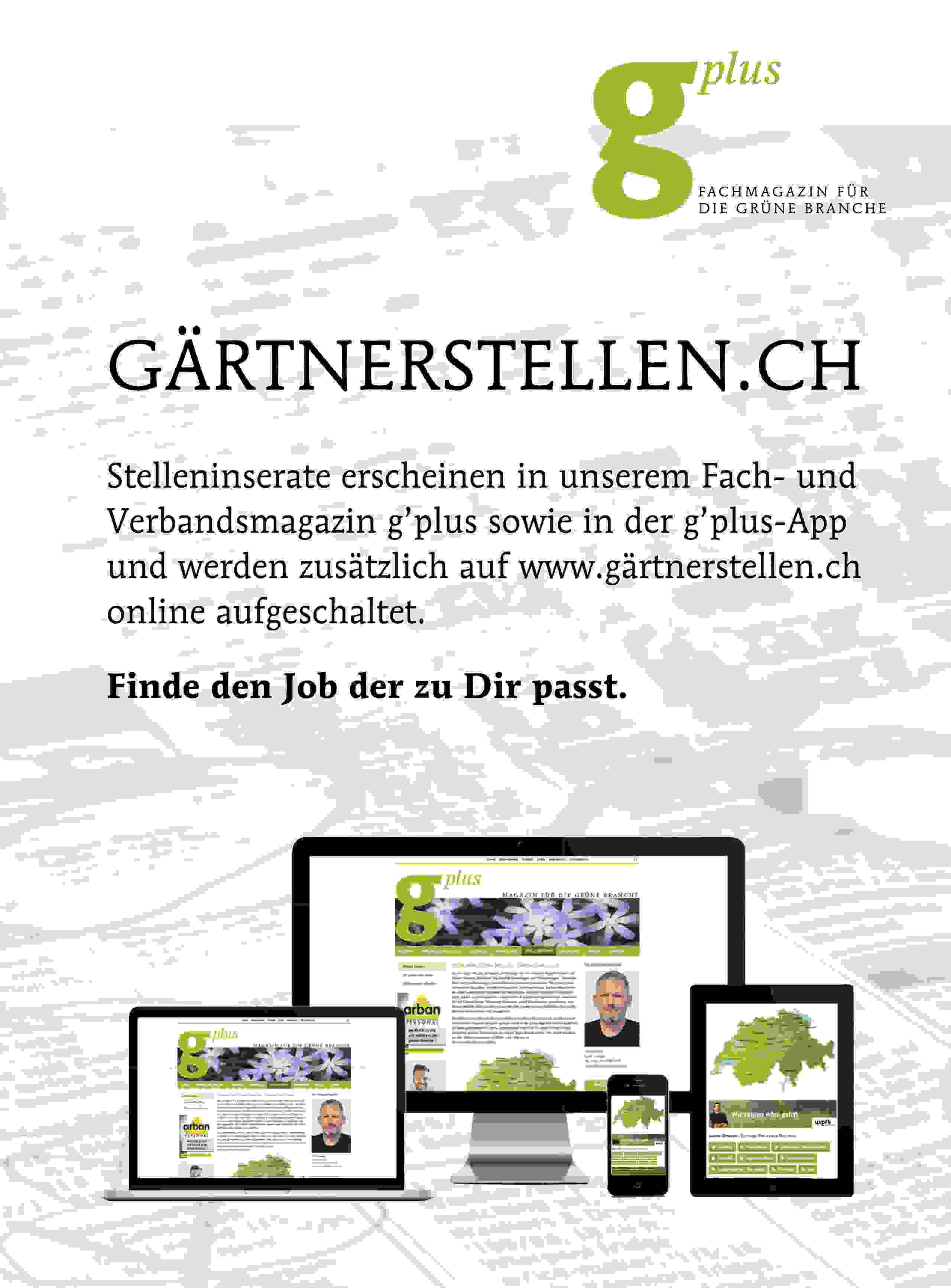 stellenborse-banner_4_fur_oga-webseite.jpg