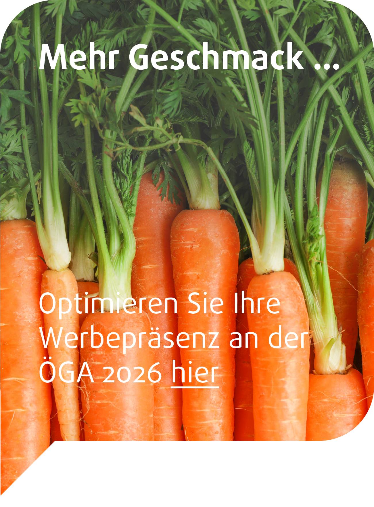 geschmack.png