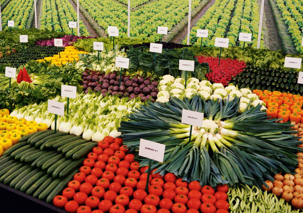 Zoom: Sortenschau Gemüse, Beeren und Kräuter