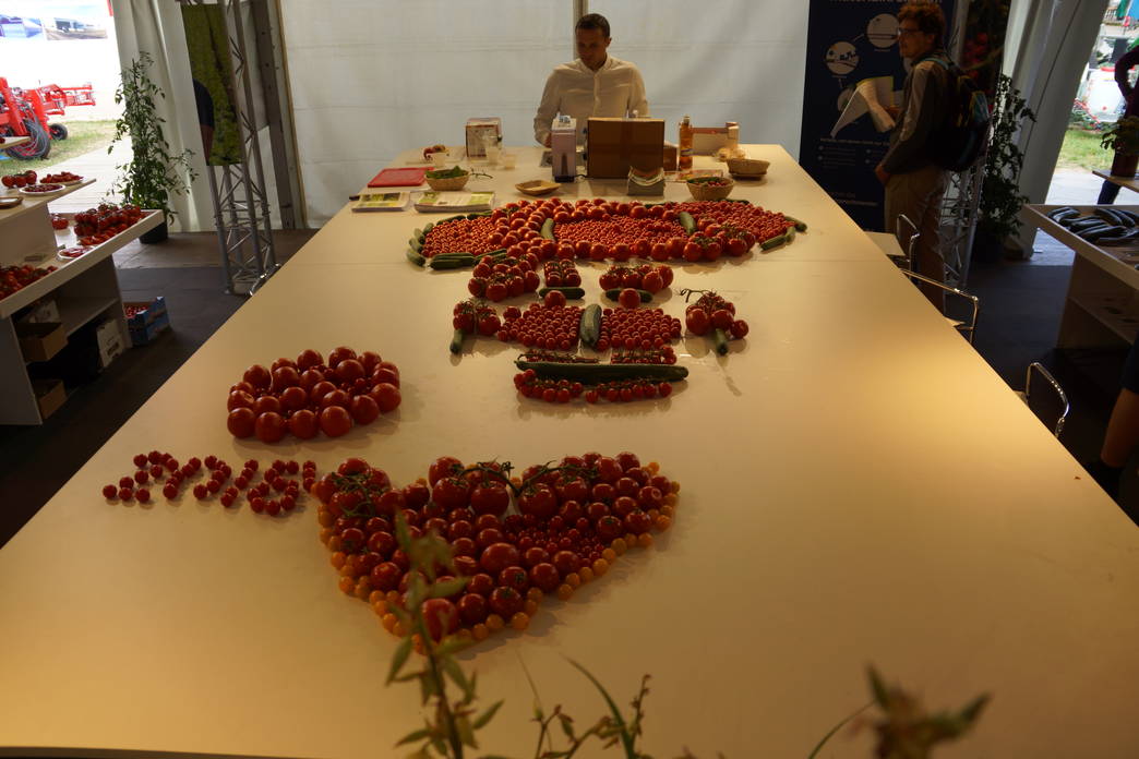 Zoom: Sortenschau Gemüse, Beeren und Kräuter