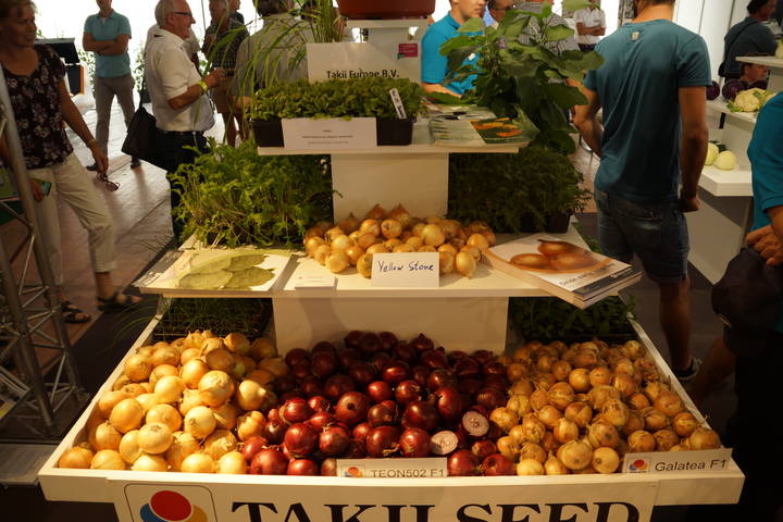 Sortenschau Gemüse, Beeren und Kräuter