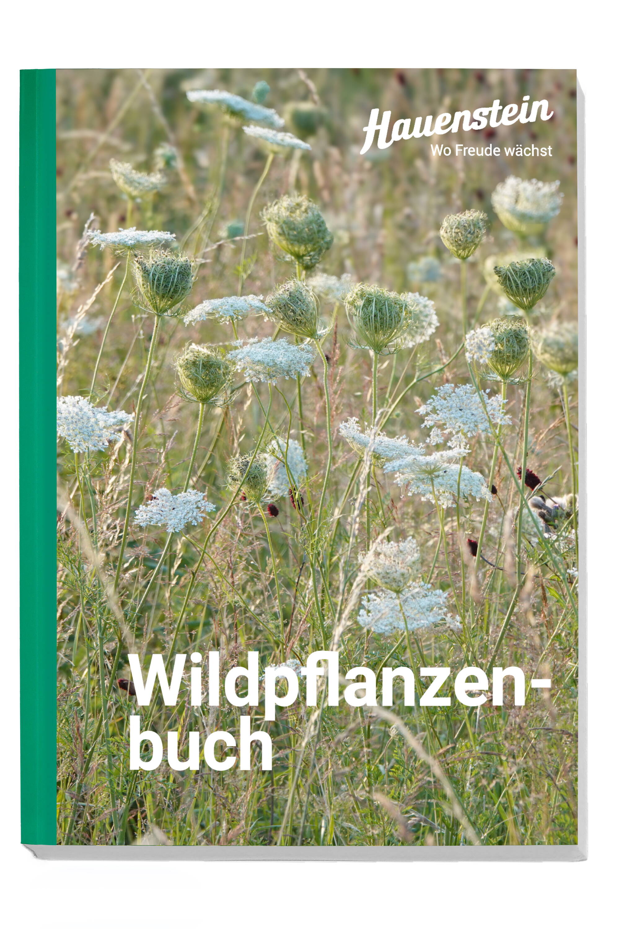 hauensteins_wildpflanzenbuch.jpg