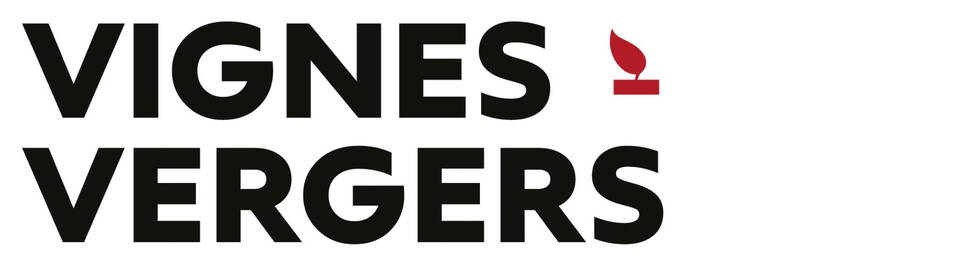 vignes.jpg vignes.jpg