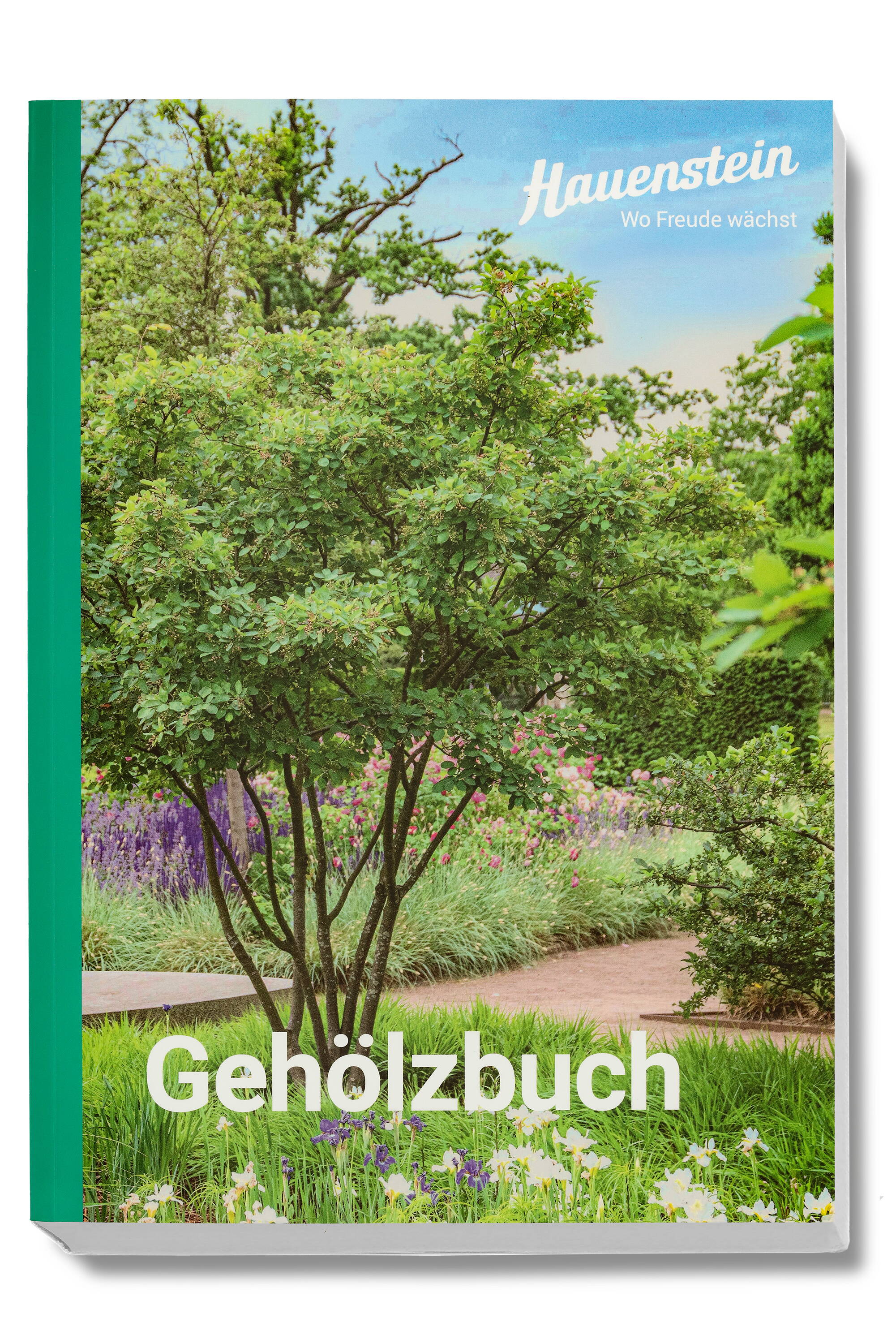 hauensteins_gehoelzbuch.jpg