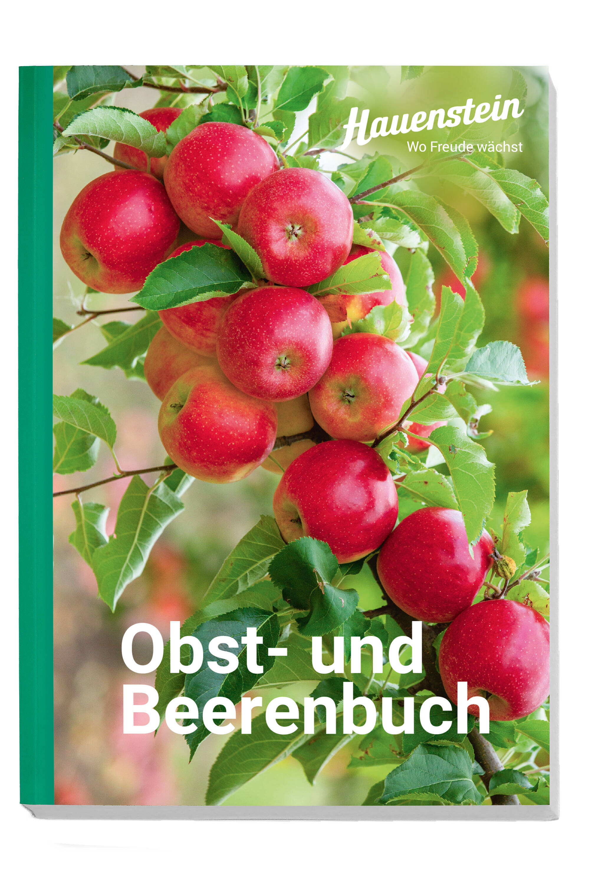 hauensteins_obst-_und_beerenbuch.jpg