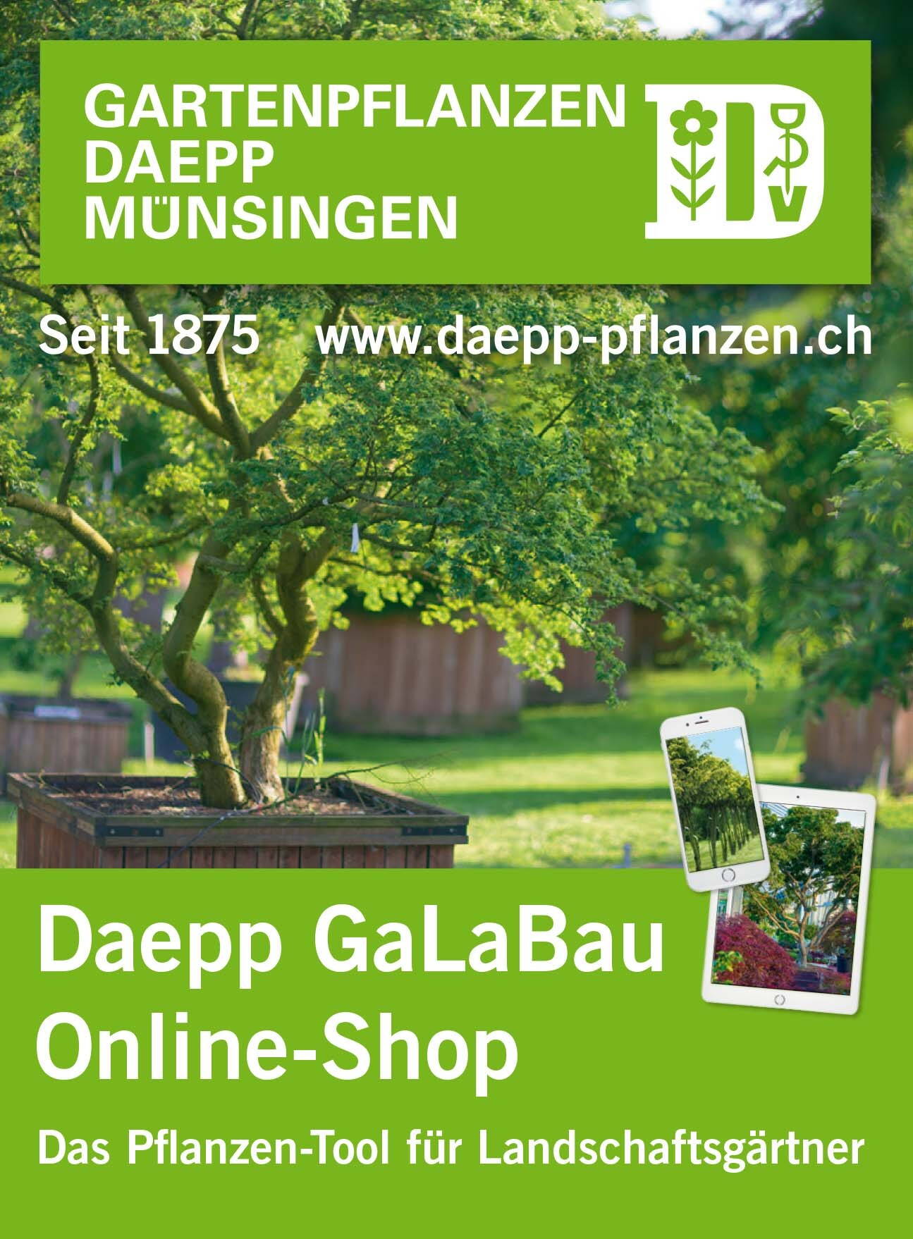 3602_gartenpflanzen_daepp.jpg