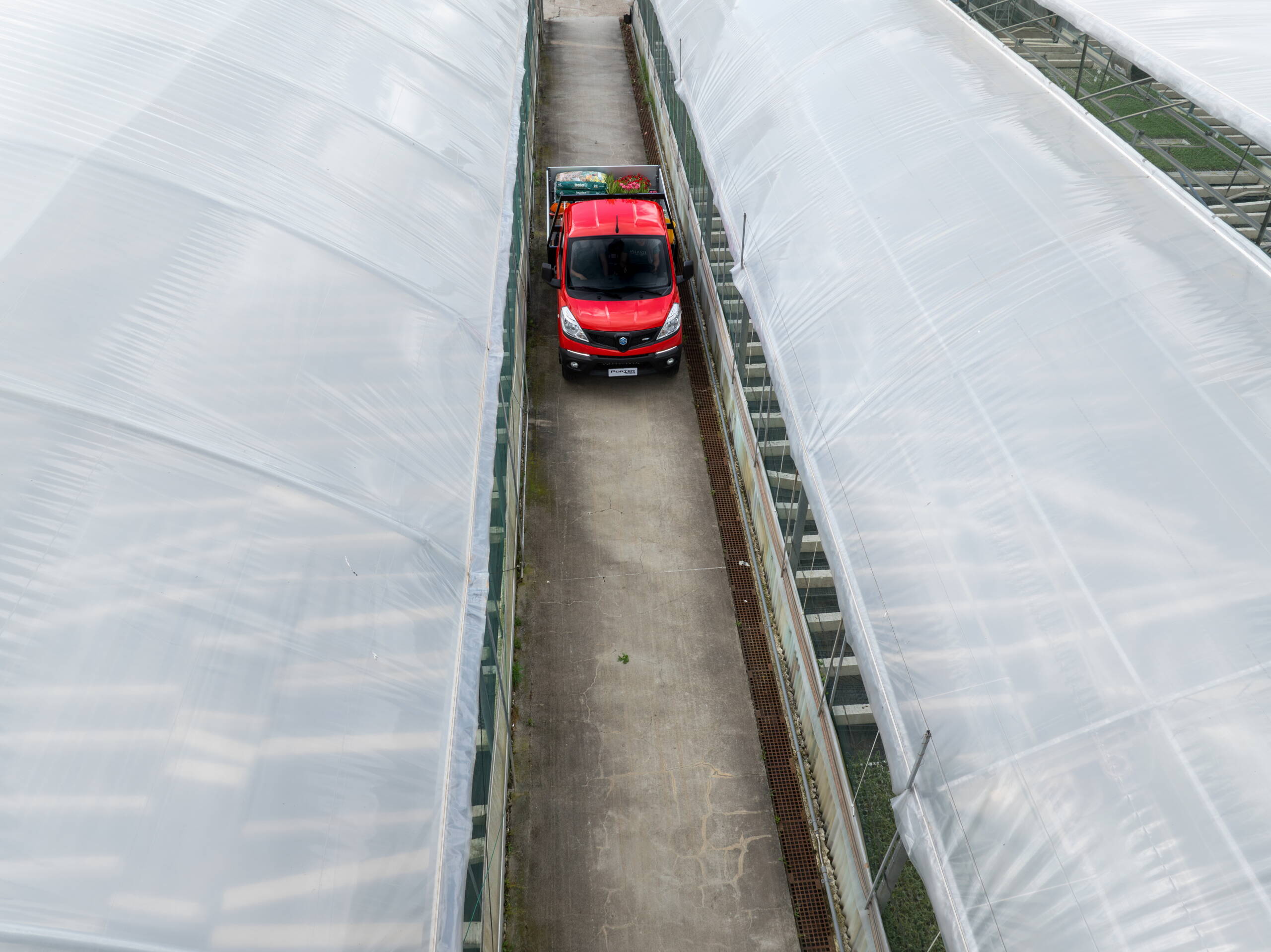 4682_docar1.jpg 4682_docar1.jpg