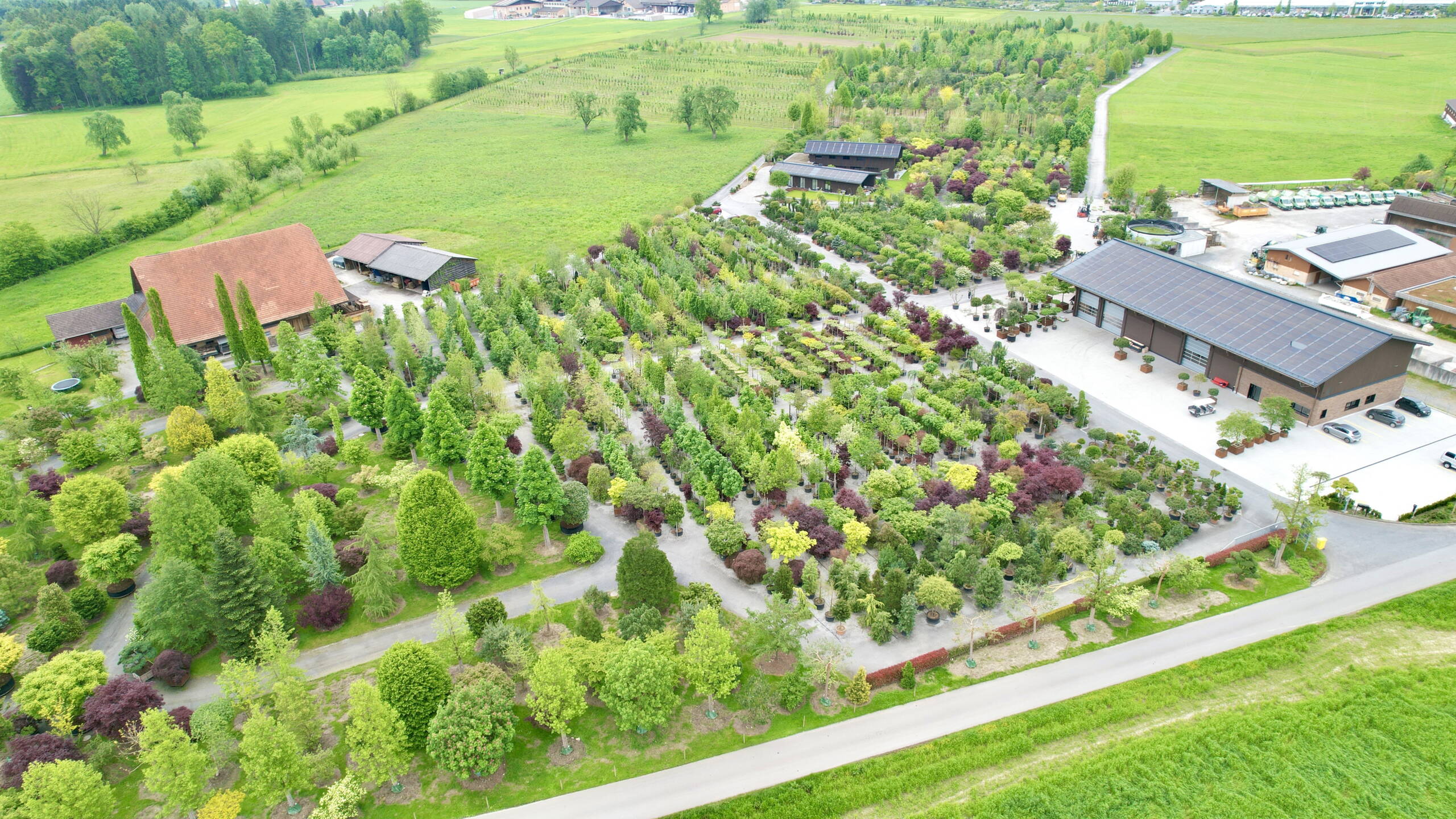 1258_schwitter.jpg 1258_schwitter.jpg