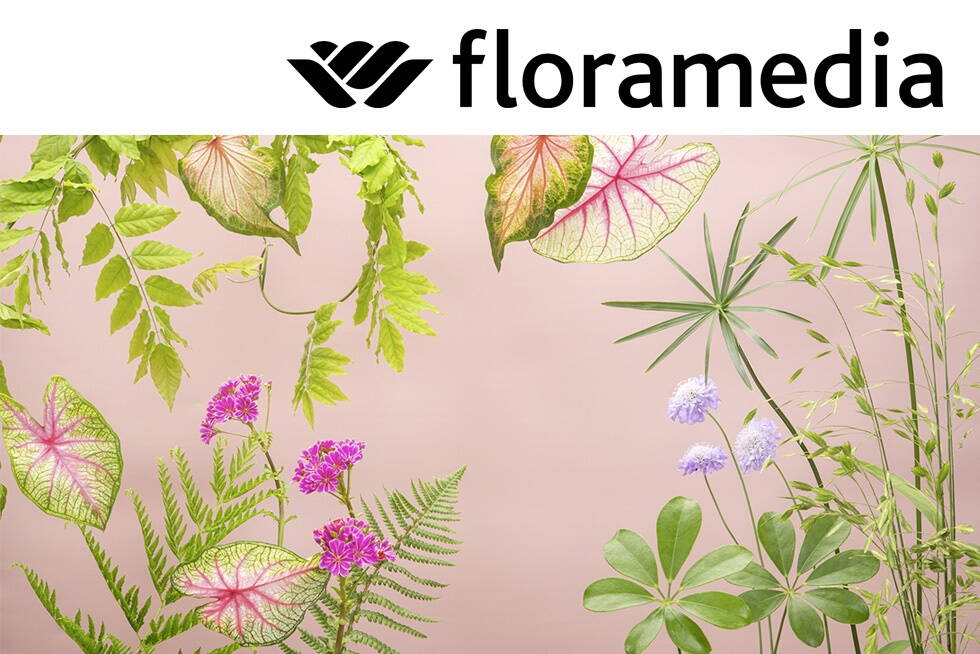 2147_floramedia_bild.jpg