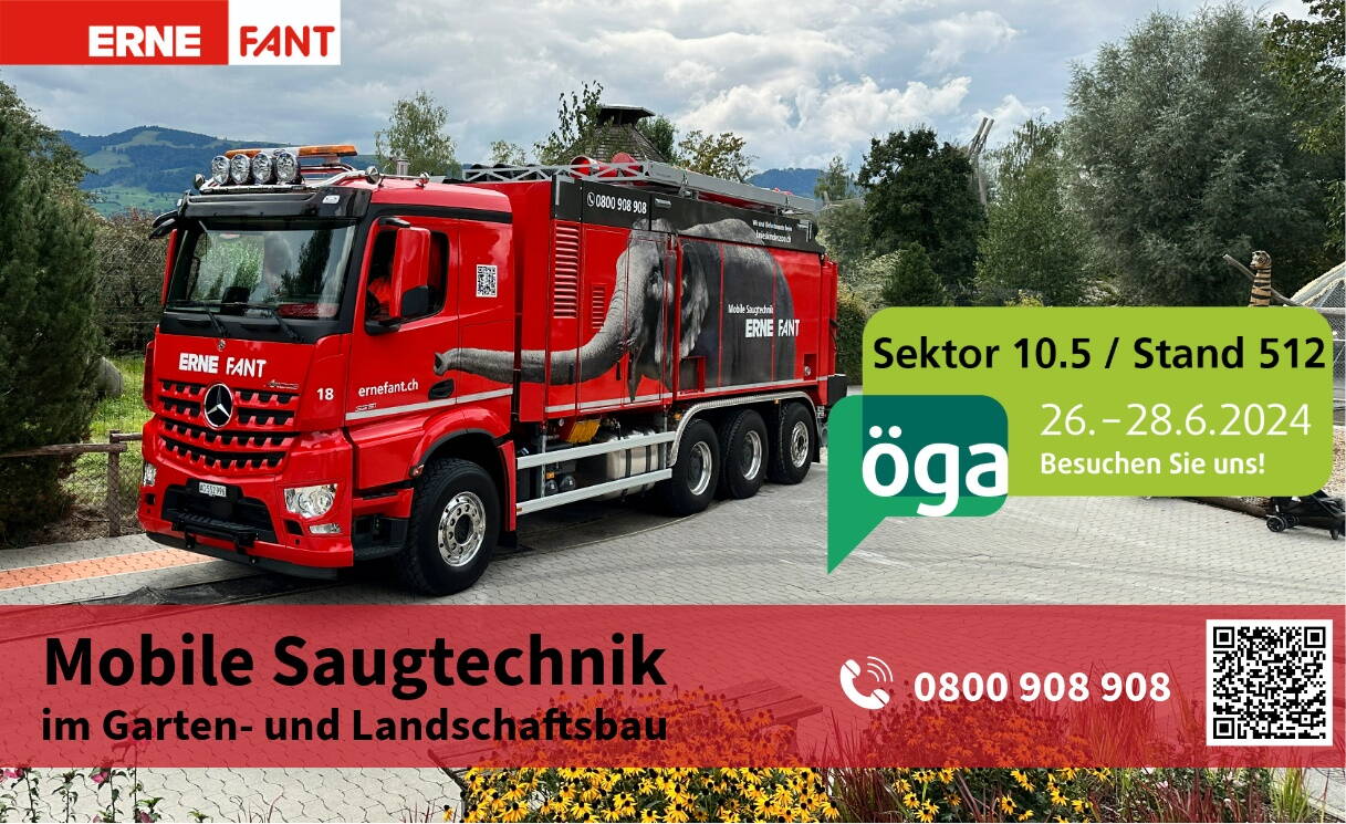 4775_ernefant.jpg 7 x in der Schweiz: Laufenburg, Birrhard (AG), Hettlingen (ZH), Füllinsdorf (BL), Gunzgen (SO), Büren a.d. Aare, Muri b. Bern (BE)