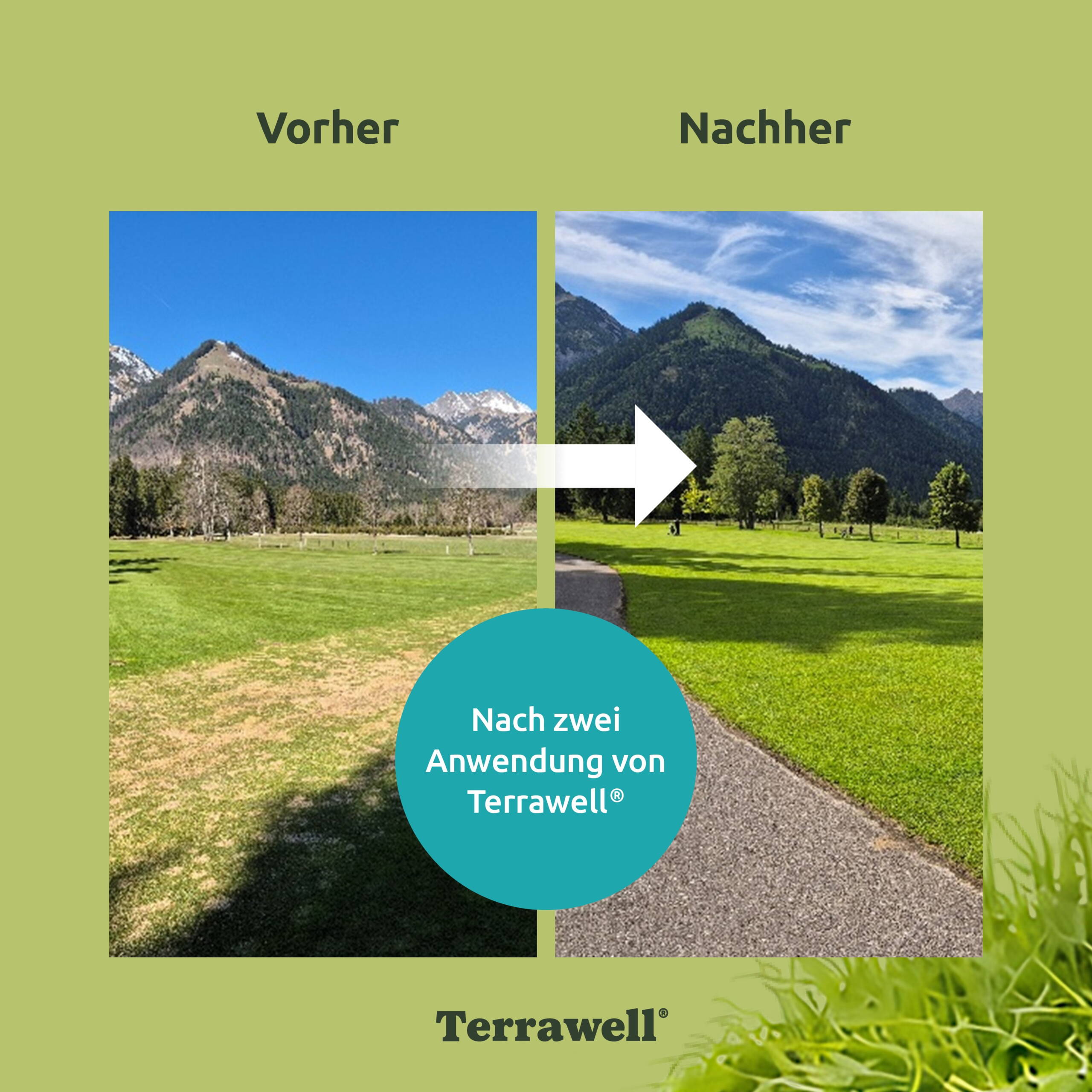 5139_biodiver.city3.jpg 5139_biodiver.city3.jpg