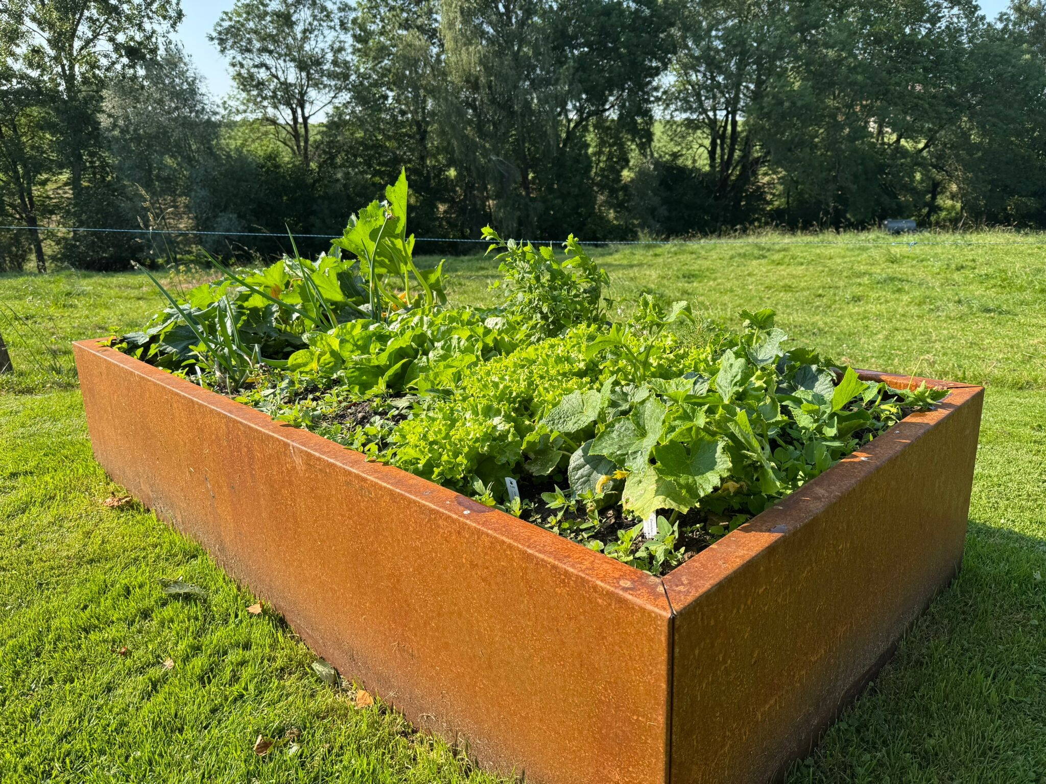 3408_floramat_sa1.jpg 3408_floramat_sa1.jpg