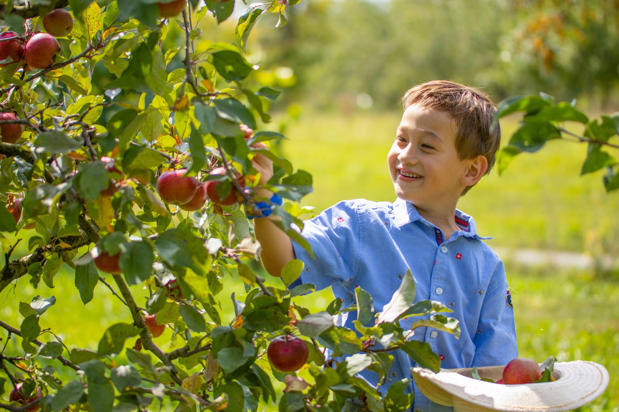 2192_haeberli1.jpg 2192_haeberli1.jpg