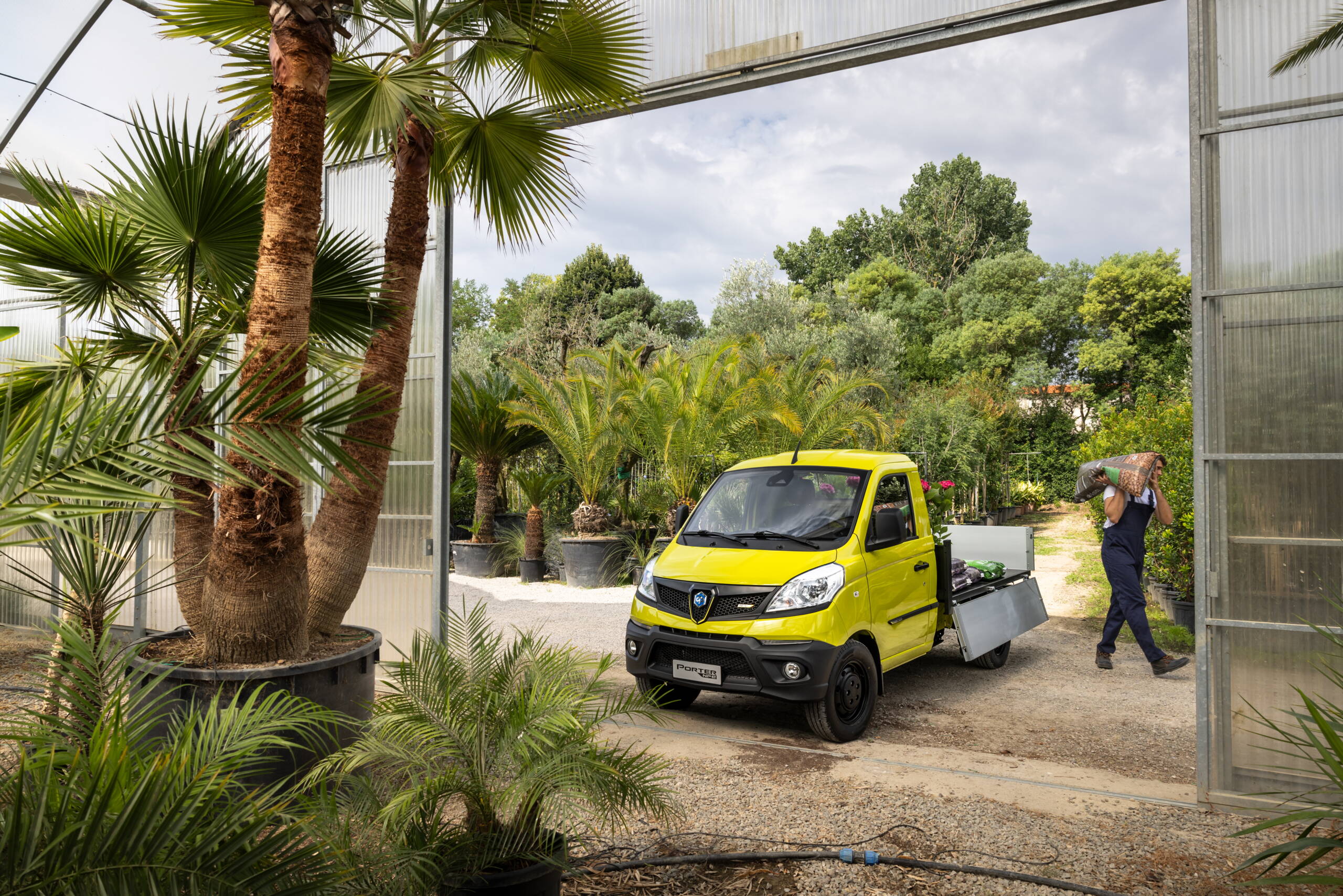 4682_docar4.jpg 4682_docar4.jpg