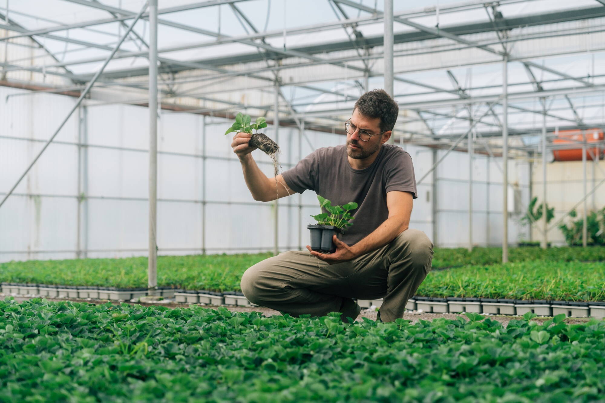 2192_haeberli4.jpg 2192_haeberli4.jpg