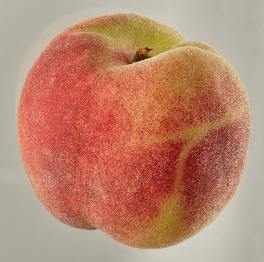 pfirsich_marpesia_frucht_1_e.jpg