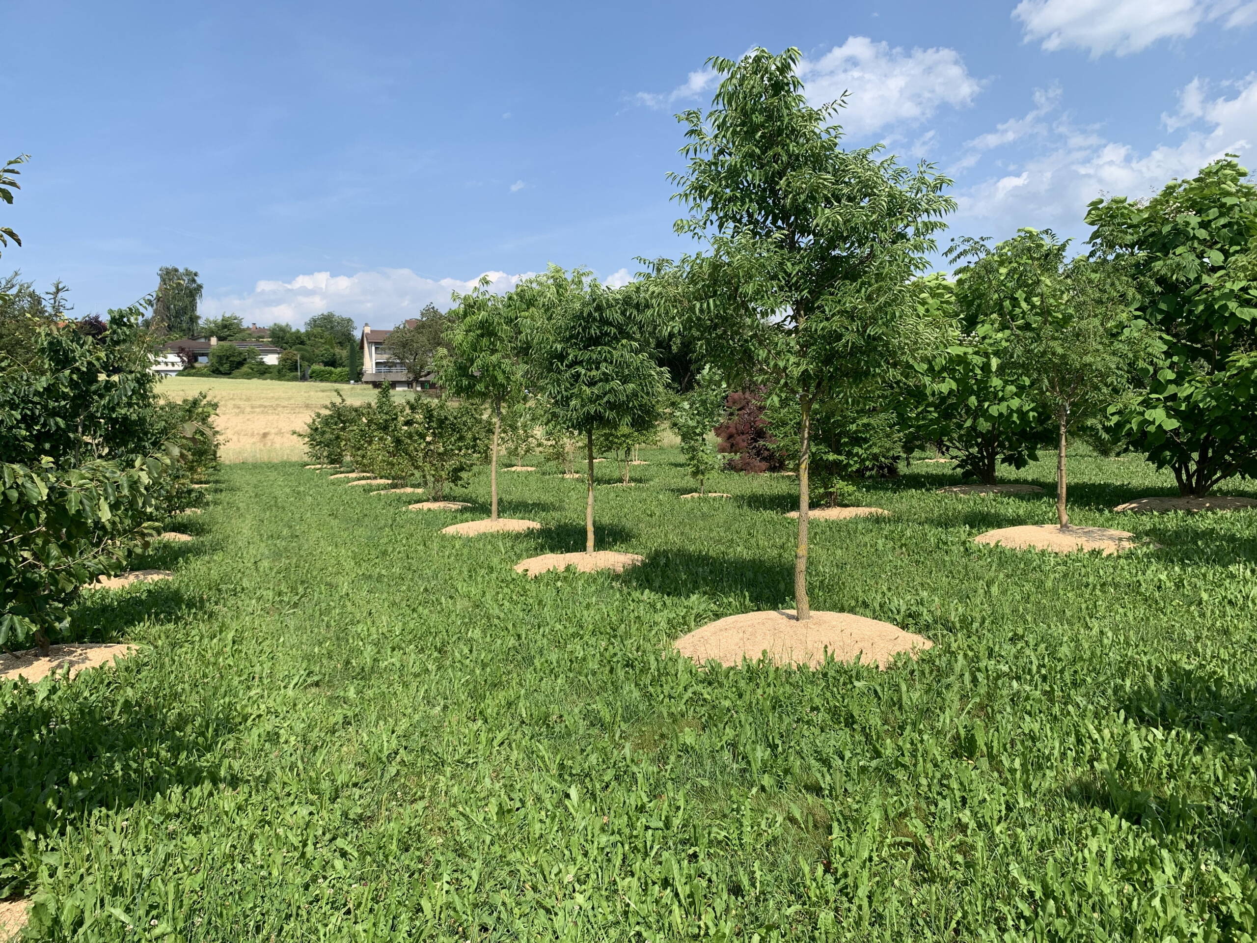 3602_daepp3.jpg 3602_daepp3.jpg